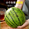 京地達西瓜山東糖丸手撕2K小西瓜新鮮水果凈重2.5斤單果750g+源頭直發(fā) 曬單實(shí)拍圖