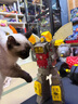 變形金剛（TRANSFORMERS）兒童男孩玩具模型禮物《決戰塞伯坦：圍城》泰坦級大力金剛E4287 曬單實(shí)拍圖