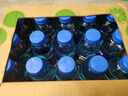 脈動青檸口味 600ML*15瓶 維C低糖維生素出游運動飲料 地球超新鮮同款 曬單實拍圖