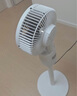 揚子電風(fēng)扇家用空氣循環(huán)扇落地扇遙控電風(fēng)扇家用電扇立式搖頭遙控辦公室桌面風(fēng)扇 【全網(wǎng)熱銷(xiāo)百萬(wàn)】機械搖頭款 曬單實(shí)拍圖