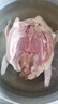 百味殿乳鴿新鮮宰殺正宗三年老鴿子保留心肝冷凍農(nóng)家散養(yǎng)滋補土鴿子湯 老鴿子凈重400g*兩只（送料包） 曬單實拍圖