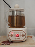 小南瓜養(yǎng)生壺多功能全自動煮茶器迷你家用燒水壺電熱水壺恒溫壺茶壺家電茶壺燒水器煎藥壺煮水壺玻璃壺 頂配款【配濾網(wǎng)+杯墊+勺子】 0.5L 曬單實拍圖