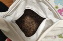 京東京造 經(jīng)典蕎蕎枕 100%蕎麥殼填充透氣高度可調(diào)花草枕頭枕芯單只裝 曬單實(shí)拍圖
