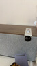 杰士（Klipsch）Three Plus2.1發(fā)燒HiFi藍(lán)牙5.3音響音箱 【國家補(bǔ)貼】侏羅紀(jì)重生 app控制直連唱機(jī) 晚秋胡桃木色 曬單實(shí)拍圖