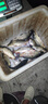 【爆款魚竿】達瓦魚竿手竿28調(diào)短節(jié)超輕超硬溪流竿魚桿漁具套裝 4.5m （實際長度3.4米） 曬單實拍圖