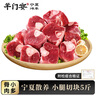 羊門宴 寧夏灘羊 羊小腿切塊5斤 羊腱子羊肉生鮮 清真燒烤食材 源頭直發(fā) 曬單實(shí)拍圖