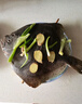 一蝦一世界鮮活三去多寶魚(yú)（去鱗去腮去內(nèi)臟）生鮮魚(yú)類(lèi) 開(kāi)袋即烹 無(wú)冰凈重400g*5條【免處理】 曬單實(shí)拍圖