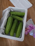 京鮮生 山東童年旱黃瓜 凈重5斤 單果100g+ 水果小青瓜 輕食 源頭直發(fā) 曬單實拍圖