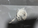 美的（Midea）除螨儀BC7【國(guó)家補(bǔ)貼】香氛雙杯分離超聲波除螨蟲 床寶床上吸塵器家用 手持吸塵除螨一體機(jī) 小海豚 曬單實(shí)拍圖