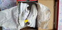 耐克NIKE休閑鞋女氣墊AIR MAX PULSE運動(dòng)鞋FD6409-101白38 曬單實(shí)拍圖