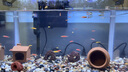 森森 超白玻璃小魚缸HRK-500套缸款(長50cm)熱彎玻璃+過濾器+水草燈 曬單實拍圖