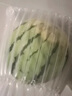 京鮮生 麒麟西瓜 凈重7-9斤 1粒裝 生鮮水果源頭直發(fā) 曬單實(shí)拍圖