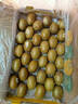 佳沛（zespri）新西蘭  陽(yáng)光金果33粒原箱單果101-114g 中秋水果禮盒 獼猴桃 曬單實(shí)拍圖