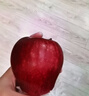 甘肅天水花牛蘋(píng)果2025當季新鮮水果小孩老人粉面紅蛇果（需放粉） 凈重4.5斤【單果160g】 曬單實(shí)拍圖