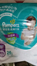 幫寶適（Pampers）超薄干爽拉拉褲男女通用綠幫成長褲褲式嬰兒小內褲學步褲寶寶 加加加大碼3XL78【17kg以上】 曬單實拍圖