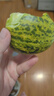 綠相憶山東八里香甜瓜應(yīng)季水果香瓜甜瓜現(xiàn)摘脆甜多汁新鮮水果整箱 凈重4.5斤大果【單果260g+】 曬單實(shí)拍圖