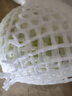 圓白菜約1kg 曬單實拍圖