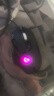 羅技（G） G502 HERO主宰者 有線鼠標(biāo) 游戲鼠標(biāo) 吃雞鼠標(biāo) 電競鼠標(biāo)宏編程可配重HERO引擎 禮盒送男友 G502H-耿鬼防滑貼+鼠標(biāo)盒 曬單實(shí)拍圖