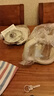 小熊（Bear）養(yǎng)生壺 2L大容量煮茶壺煮茶器 24H恒溫花茶壺 燉煮一體燒水壺電熱水壺 316L母嬰材質(zhì) YSH-D20T6 曬單實(shí)拍圖