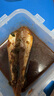 頂吉漁小魚(yú)干紅娘魚(yú)干無(wú)頭海鮮干貨魚(yú)干紅娘子淡曬咸魚(yú)風(fēng)干湛江特色咸魚(yú) 180g【湛江紅娘魚(yú)干】無(wú)干燥劑 曬單實(shí)拍圖