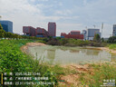 天堂 雙人晴雨傘三折 晴雨傘三折10骨超大加固黑膠防曬傘 霧蘭灰 曬單實(shí)拍圖
