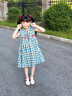 FIDQIOG國際品牌夏季新款女童公主裙胖小女孩可愛連衣裙2025 藍色【格子款】 【現(xiàn)貨速發(fā)】 140 cm 曬單實拍圖