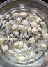 福東海 10A茉莉花苞雪球55克【去葉不苦澀】橫縣原產(chǎn)干花蕾養(yǎng)生茶泡水喝 曬單實拍圖