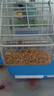 派樂特  鳥糧鸚鵡飼料零食虎皮玄鳳牡丹帶殼黃谷子 凈重450g 曬單實拍圖