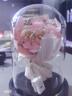 夕風(fēng)永生花生日禮物女生八音盒音樂(lè )盒實(shí)用送女朋友女士小眾高級感高端 曬單實(shí)拍圖