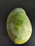 京鮮生 攀枝花凱特芒果 凈重4.5斤 單果600g 生鮮水果 源頭直發(fā) 曬單實(shí)拍圖