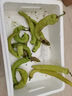 辣椒尖椒 新鮮薄皮青椒 現(xiàn)摘現(xiàn)發(fā) 蔬菜  虎皮辣椒 2斤 曬單實(shí)拍圖