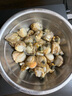 【新貨上市】特大號(hào)扇貝肉純野生海捕新鮮扇貝冷凍海鮮帶冰保鮮 扇貝肉400g*4 曬單實(shí)拍圖