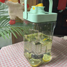 OQB德國(guó)冷水壺家用冰箱涼水冰水杯飲料冷泡果汁水果茶冷飲桶耐高溫大 淺綠色 送貼紙【2.3L大容量 既出即飲 密封不漏 3L以上 曬單實(shí)拍圖