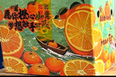 京鮮生 當(dāng)季鮮橙 凈重10斤 鉆石果 單果約200g起 生鮮橙子水果禮盒 曬單實(shí)拍圖