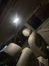 飛利浦LED汽車燈泡 倒車燈/示寬燈/剎車燈/行車燈/霧燈/閱讀燈/后尾燈 雙尖30mm【白光】單只 曬單實拍圖