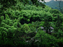 貝親（Pigeon）洗發(fā)水沐浴露  新生兒寶寶用 水三角嬰兒洗發(fā)沐浴二合一 500ml 曬單實(shí)拍圖