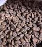 Orijen渴望貓糧 成貓幼貓糧 全價(jià)通用無(wú)谷原味雞肉進(jìn)口5.4kg效期26/1 曬單實(shí)拍圖