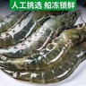 鮮享純【青島蝦】超大蝦新鮮大蝦冷凍鮮活青島大蝦批發(fā)整箱基圍蝦青蝦 15-17厘米鮮蝦速凍 3斤(凈重) 曬單實(shí)拍圖