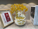 冠珺號躺賺招財(cái)貓發(fā)財(cái)樹招財(cái)進(jìn)寶擺件客廳桌面開業(yè)禮物送人開張喬遷禮物 躺賺發(fā)財(cái)招財(cái)貓【白色】 曬單實(shí)拍圖