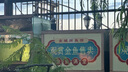 名創(chuàng)優(yōu)品（MINISO）A類100%純棉床單單件全棉被單160x230cm 學(xué)生宿舍單人0.9-1.2米床 曬單實拍圖