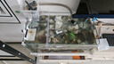 森森 超白玻璃小魚缸HWK-600P裸缸款水草缸金魚缸小型水族箱水草缸  曬單實拍圖