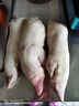 【順豐】10只生豬蹄豬腳豬爪豬蹄小肥蹄散養(yǎng)土豬肉冷凍豬蹄鹵豬蹄 帶筋土豬蹄1只【冷鏈速發(fā)】 曬單實(shí)拍圖