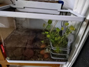 森森 小鯉魚缸水泵小型潛水泵過濾泵抽水泵XQP-1000 15W  曬單實拍圖