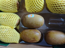 佳沛（zespri）新西蘭  陽光金奇異果10粒禮盒巨大果單果約144-175g 水果 獼猴桃 曬單實(shí)拍圖
