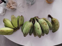 廣西小米蕉小香蕉自然熟迷你香蕉蘋(píng)果蕉小芭蕉新鮮水果特產(chǎn)雞蕉 蘋(píng)果蕉 3斤 香甜軟糯 曬單實(shí)拍圖
