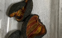 弈騰野生海參9年冰島加拿大進(jìn)口海捕鮮紅極參加工北極紅參參皮葉瓜參 20-30頭/斤凈重500g 曬單實(shí)拍圖
