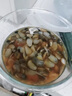 鮮馳舟山特產(chǎn)醉泥螺鮮活特大寧波黃泥螺即食罐裝新鮮生腌海鮮潮汕無沙 中號(hào)醉泥螺 210g *1罐 【嘗鮮裝】?jī)糁?曬單實(shí)拍圖