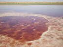 內(nèi)蒙阿拉善五湖穿越騰格里沙漠烏蘭湖寧夏銀川中衛(wèi)包車跟團一日游 銀川出發(fā)包車 曬單實拍圖