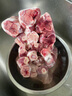牧溪春內蒙羊肉羊小腿塊 凈重4斤 冷凍 散養草飼羊肉 火鍋食材 曬單實(shí)拍圖