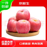 京鮮生 山東煙臺(tái)紅富士蘋(píng)果 凈重5斤 果徑75mm+ 新鮮水果 源頭直發(fā) 曬單實(shí)拍圖